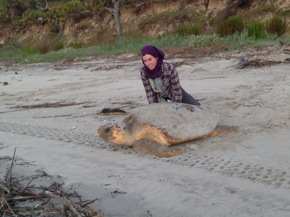 Jaynie Gaskin checking tags turtle 15-039