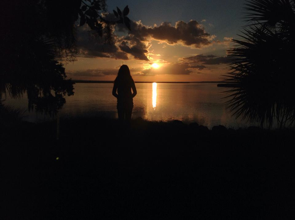 McKinnon Turtle Bench sunset